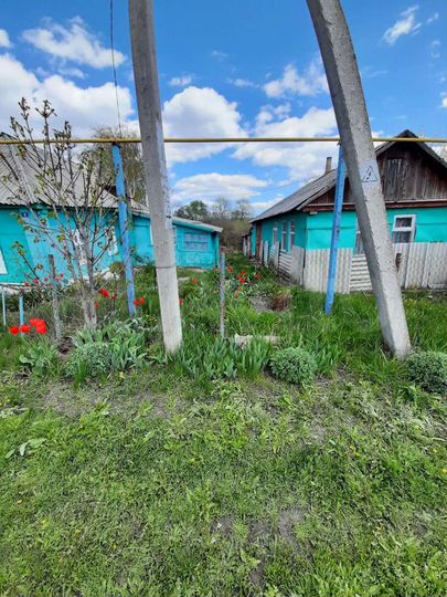 Дом 29,5 м² на участке 21 сот.