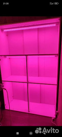 Стеллаж с фито лампами