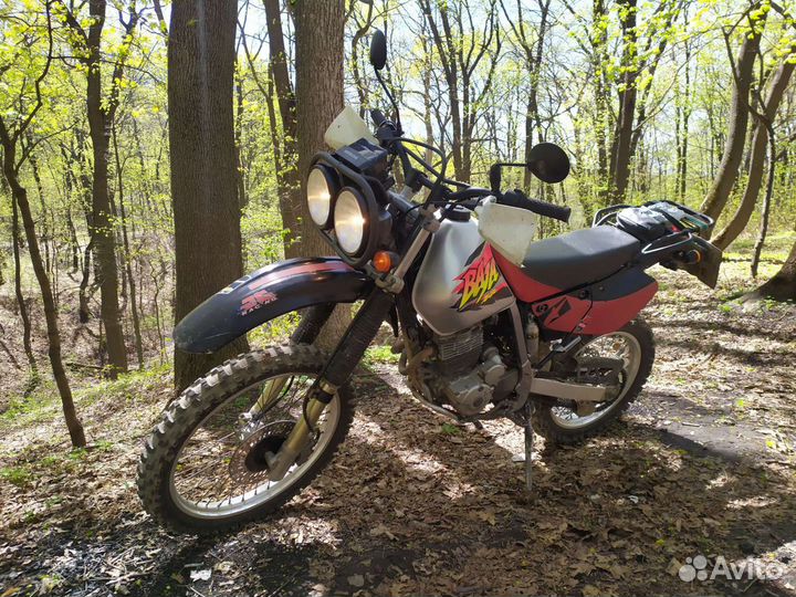 Honda XR250 Baja