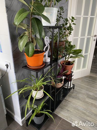 Полка для цветов