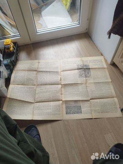 Газета правда