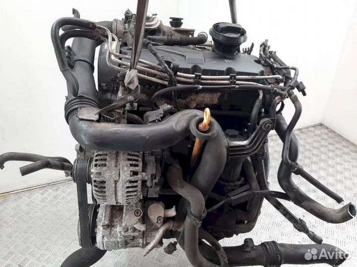 Двигатель Volkswagen Touran 1 (2003 - 2010) 1.9 BK