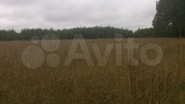 Участок 79 сот. (ИЖС)
