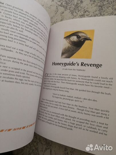 Про животных в Африке на английском языке