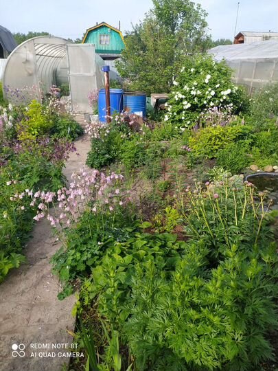 Дача 96 м² на участке 6 сот.