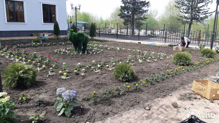 Услуги по озеленению