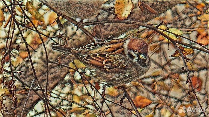 Фотокартины - Лучшие моменты осени Ангарск