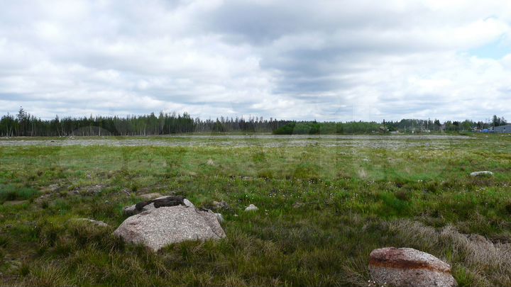 Участок 17,9 га (промназначения)