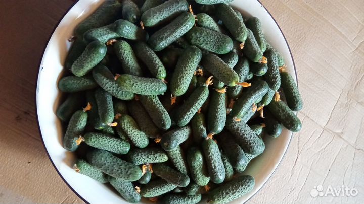 Огурцы и зелень