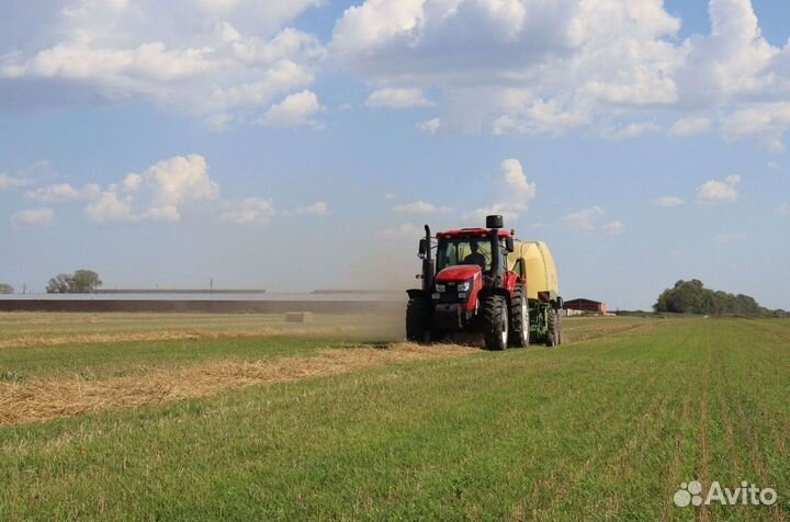 Трактор YTO ELG1754, 2023