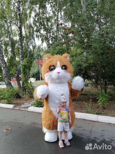 Живая открытка Котик