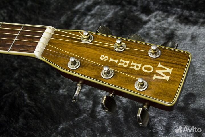 Акустическая гитара Morris MD-525 Массив. Кейс