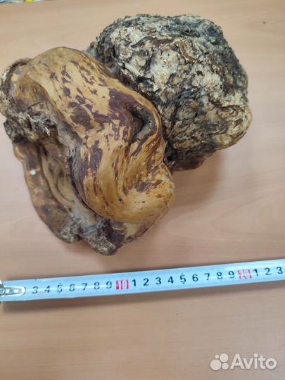 Кап сувель березовый 20 на 15 см