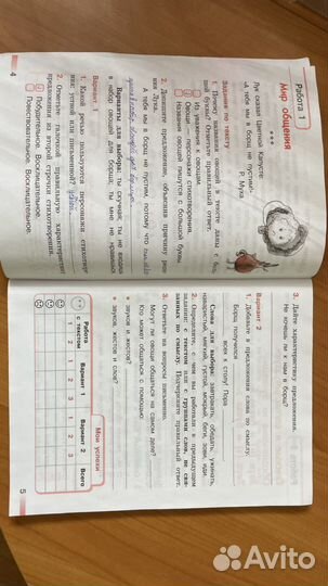 Рабочие тетради 2 класс (русский, математика)