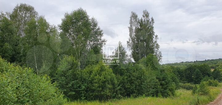 Участок 3 га (ИЖС)