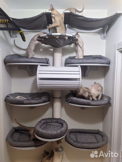 Домик и когтеточка для кошек