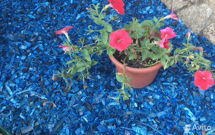 Щепа декоративная синяя