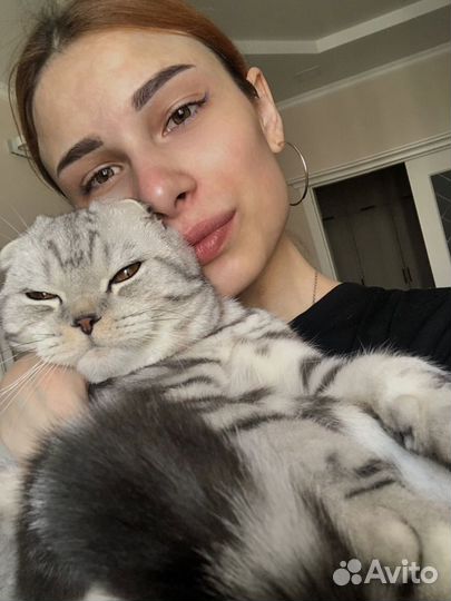 Зоопсихолог/ Кинолог/ Ветеринария