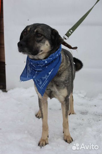 Ярик нуждается в любящем его человеке