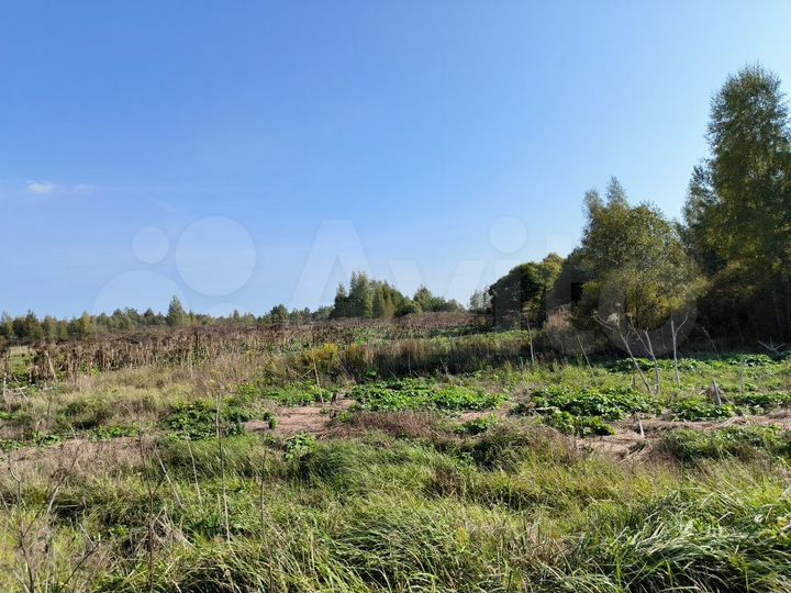 Участок 144,94 га (СНТ, ДНП)