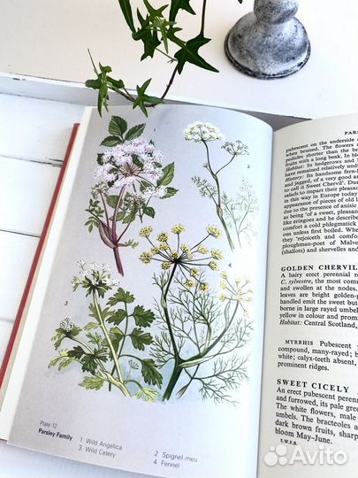 Ботаническая книга с ароматными растениями 1971г