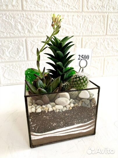 Флорариум в форме куб