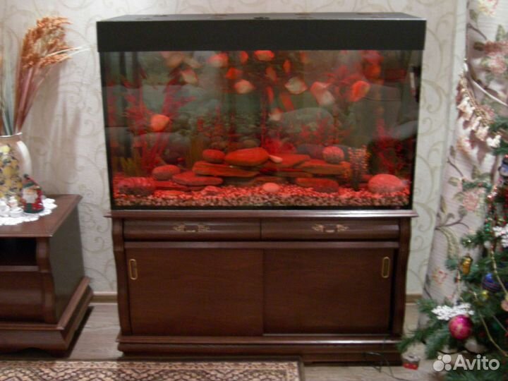 Установка и оформление,аквариумов и их систем