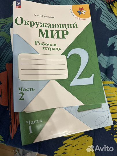 Рабочая тетрадь по окружающему миру 2 класс