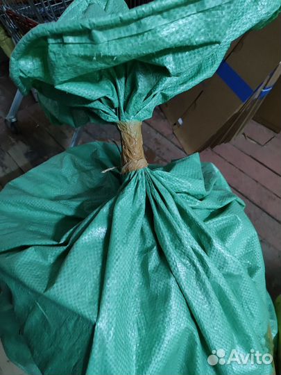 Вещей мешок