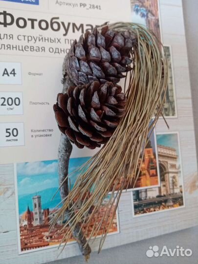 Шишки сосновые на ветках для декора