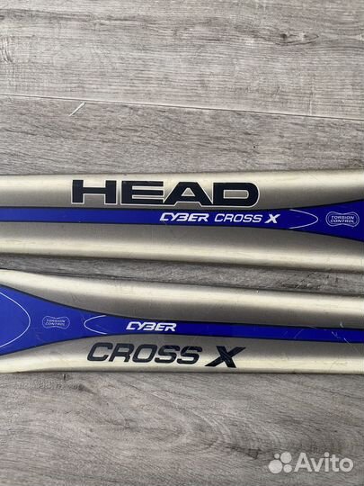 Горные лыжи