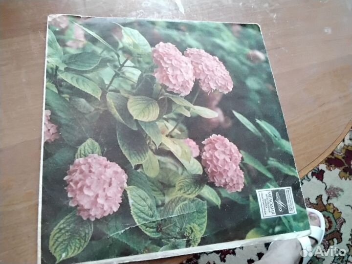 Винил пластинка В.Высоцкий