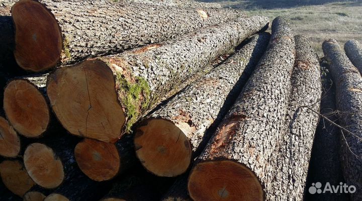 Дрова ольховые с доставкой