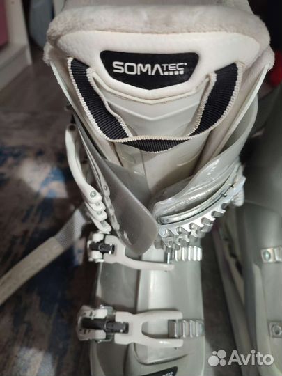 Горные лыжи