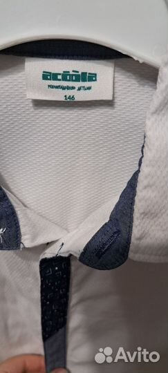 Рубашка акула