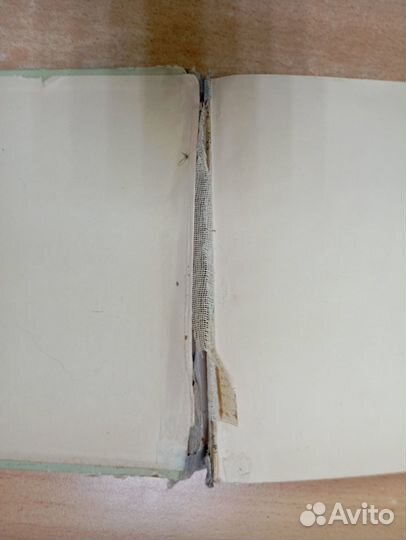 Сёмушкин, Т. Алитет уходит в горы