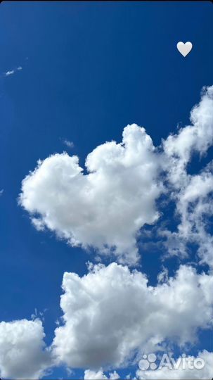 Худи зипка плюш