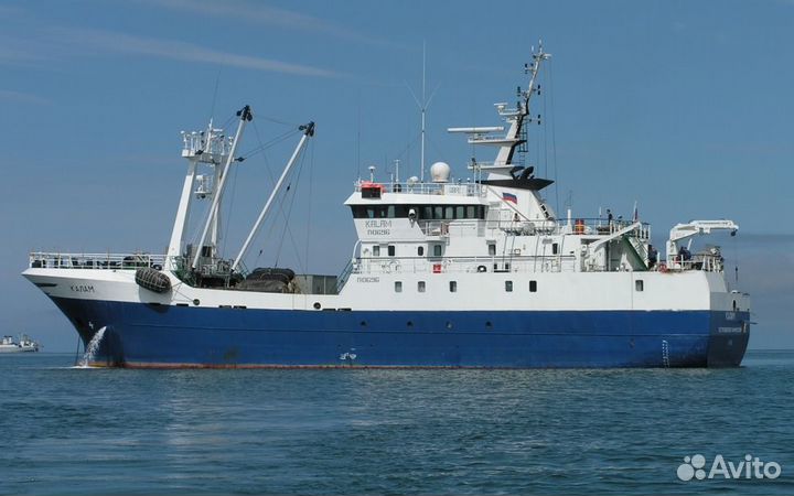 Инвестиции в рыбодобывающую продукцию