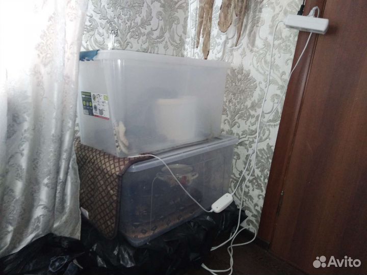 Изготовление террариума