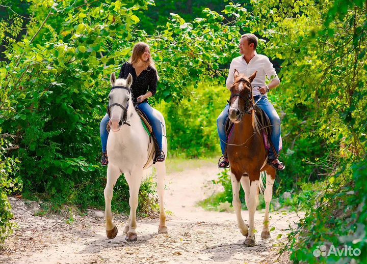 Конные прогулки