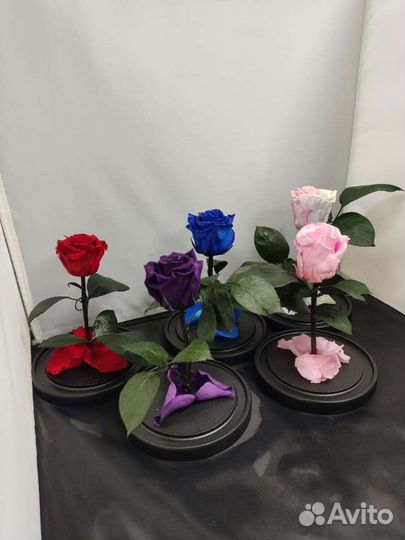 Роза в колбе оптом и в розницу