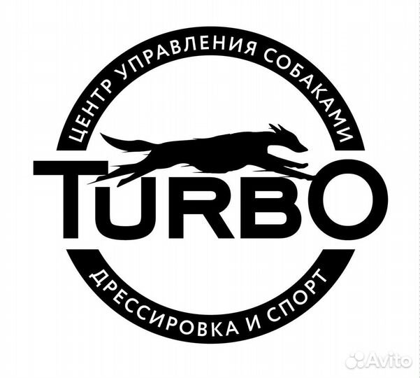 Дрессировка собак, коррекция поведения, кинолог