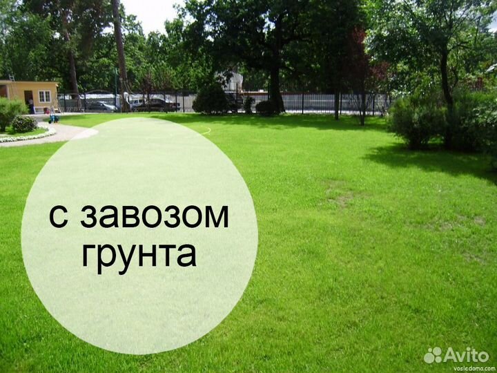 Премиальный рулонный газон в Павловский Посад