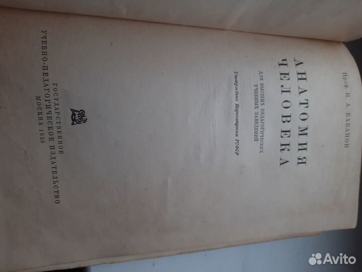 Кабанов Н. А. Анатомия человека 1938 г