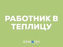 Работник в теплицу