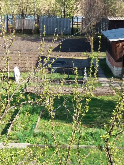 Дача 50 м² на участке 20 сот.