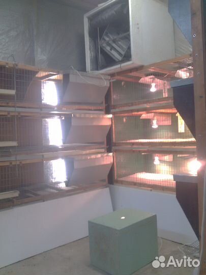 Клетки для перепелок (мини-ферма)