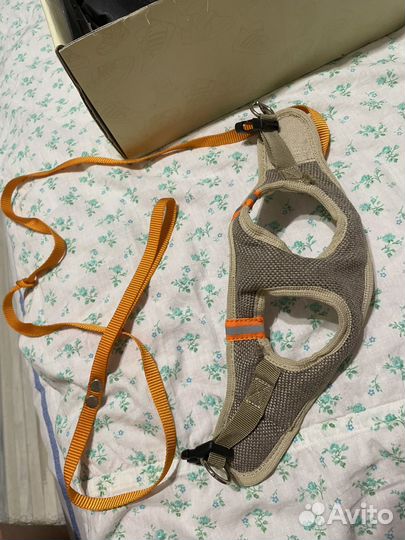 Шлейка для котенка или небольшой кошки