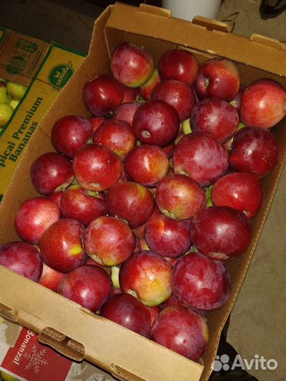 Фермерские продукты