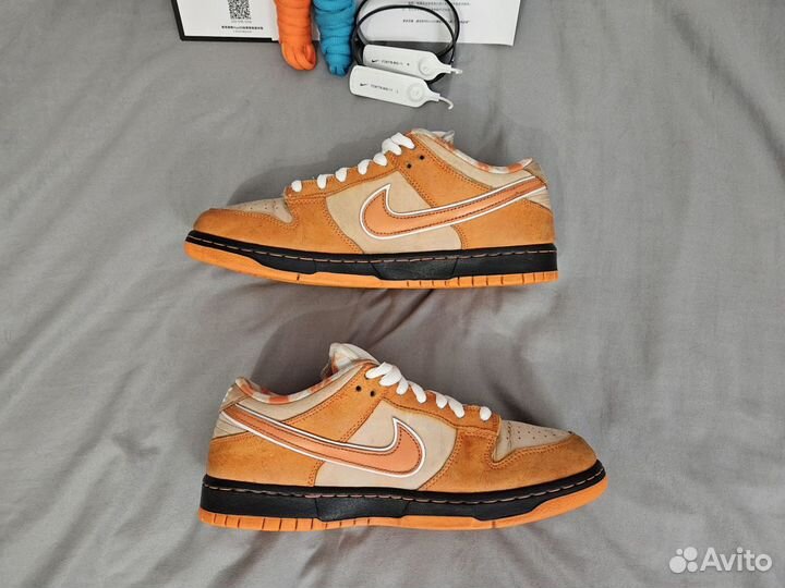 Nike SB Dunk Low Concepts Orange Lobster Оригинал